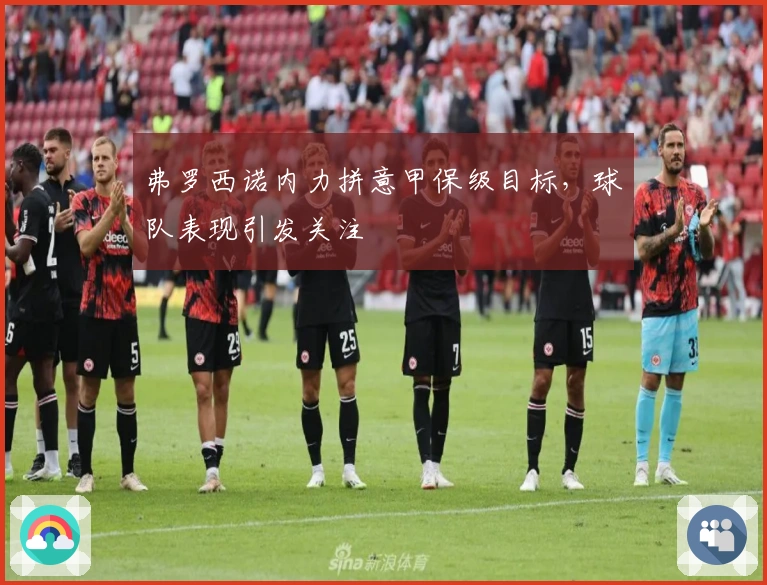 弗罗西诺内力拼意甲保级目标，球队表现引发关注